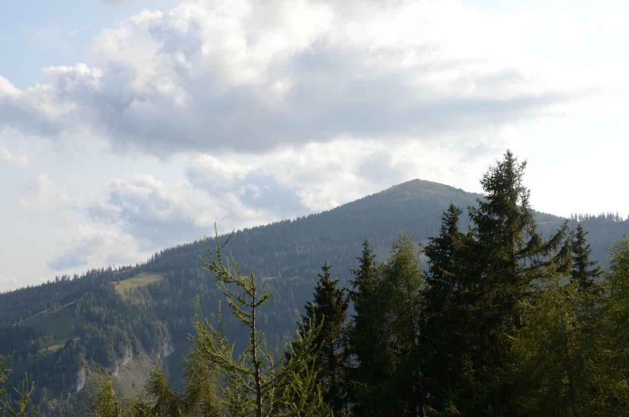 Ferienhaus Bergfee Apartman Klippitztorl Kültér fotó